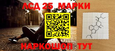 прущие грибы Краснознаменск