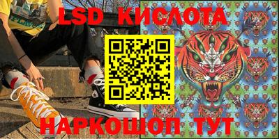 прущие грибы Краснознаменск