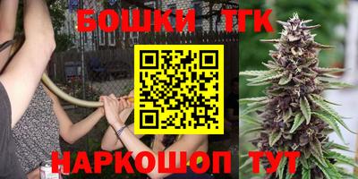 прущие грибы Краснознаменск