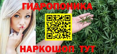 прущие грибы Краснознаменск