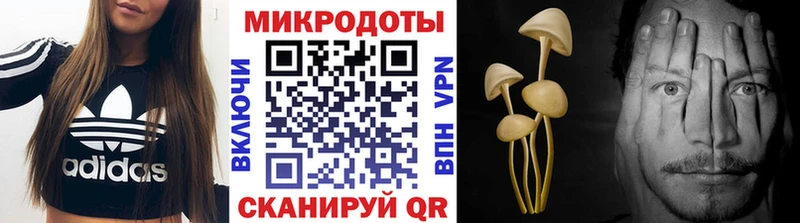 закладка  Острогожск  Галлюциногенные грибы Psilocybe 