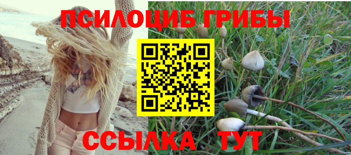 Галлюциногенные грибы Magic Shrooms Острогожск