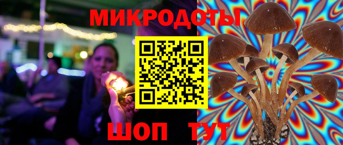 Галлюциногенные грибы MAGIC MUSHROOMS  Вход с VPN  Острогожск  Псилоцибиновые грибы прущие грибы 